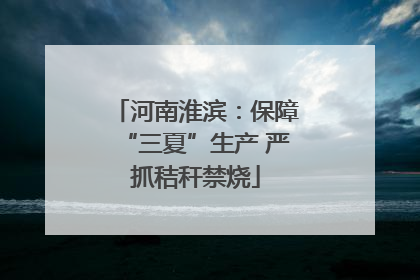 河南淮滨：保障“三夏”生产 严抓秸秆禁烧