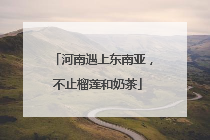 河南遇上东南亚，不止榴莲和奶茶