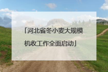 河北省冬小麦大规模机收工作全面启动