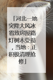 河北一地突降大风冰雹致房屋路灯树木受损，当地：正积极清理抢修