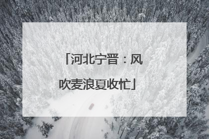 河北宁晋：风吹麦浪夏收忙