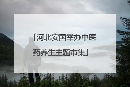 河北安国举办中医药养生主题市集