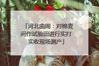 河北曲周：对棉麦间作试验田进行实打实收现场测产