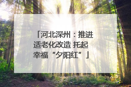 河北深州：推进适老化改造 托起幸福“夕阳红”