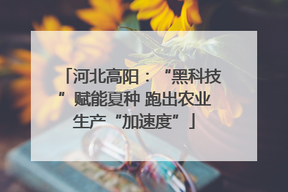 河北高阳：“黑科技”赋能夏种 跑出农业生产“加速度”