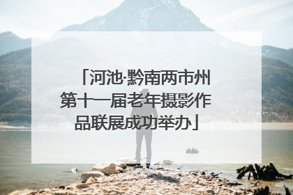 河池·黔南两市州第十一届老年摄影作品联展成功举办