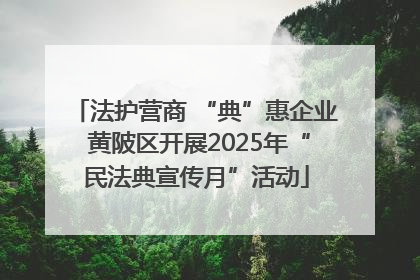 法护营商 “典”惠企业 黄陂区开展2025年“民法典宣传月”活动