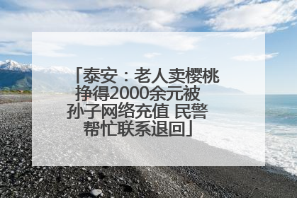泰安：老人卖樱桃挣得2000余元被孙子网络充值 民警帮忙联系退回