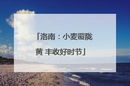 洛南：小麦覆陇黄 丰收好时节