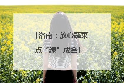 洛南：放心蔬菜点“绿”成金