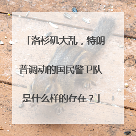 洛杉矶大乱，特朗普调动的国民警卫队是什么样的存在？