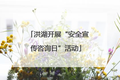 洪湖开展“安全宣传咨询日”活动