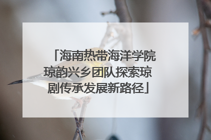 海南热带海洋学院琼韵兴乡团队探索琼剧传承发展新路径