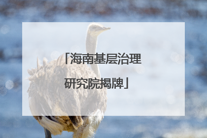海南基层治理研究院揭牌