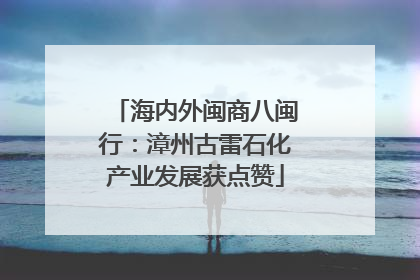 海内外闽商八闽行：漳州古雷石化产业发展获点赞