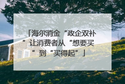 海尔消金“政企双补”让消费者从“想要买”到“买得起”