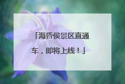 海昏侯景区直通车，即将上线！