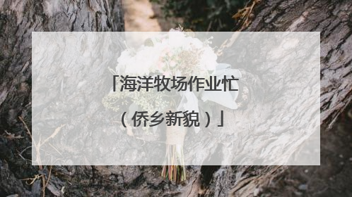 海洋牧场作业忙（侨乡新貌）