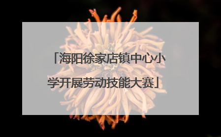 海阳徐家店镇中心小学开展劳动技能大赛