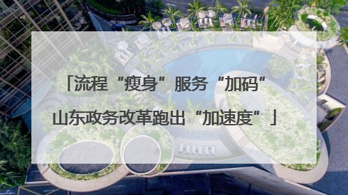 流程“瘦身”服务“加码” 山东政务改革跑出“加速度”