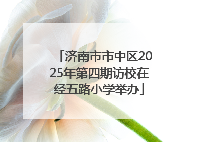 济南市市中区2025年第四期访校在经五路小学举办