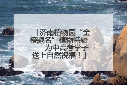 济南植物园“金榜题名”植物特辑——为中高考学子送上自然祝福！