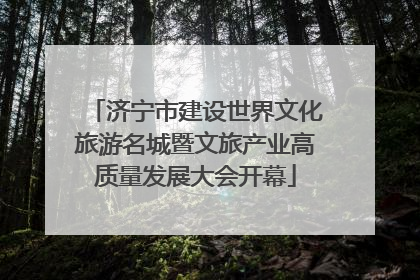 济宁市建设世界文化旅游名城暨文旅产业高质量发展大会开幕