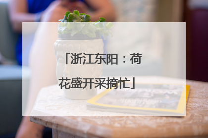 浙江东阳：荷花盛开采摘忙