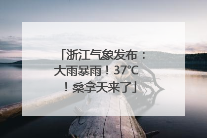 浙江气象发布：大雨暴雨！37℃！桑拿天来了