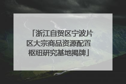 浙江自贸区宁波片区大宗商品资源配置枢纽研究基地揭牌