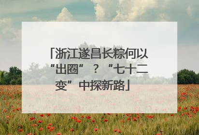 浙江遂昌长粽何以“出圈”？“七十二变”中探新路