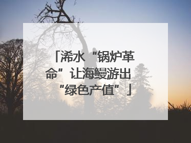 浠水“锅炉革命”让海鳗游出“绿色产值”