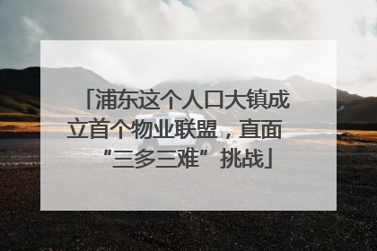 浦东这个人口大镇成立首个物业联盟，直面“三多三难”挑战