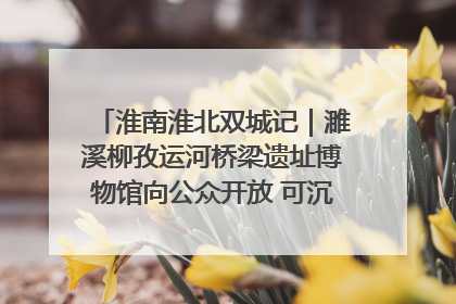 淮南淮北双城记｜濉溪柳孜运河桥梁遗址博物馆向公众开放 可沉浸式触摸历史
