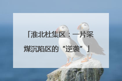 淮北杜集区：一片采煤沉陷区的“逆袭”