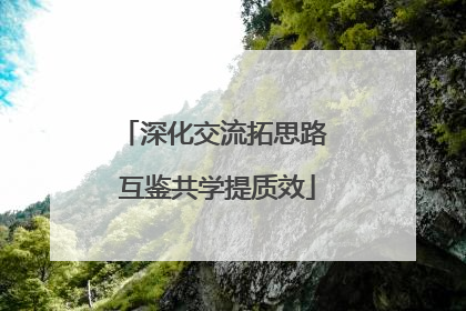 深化交流拓思路 互鉴共学提质效
