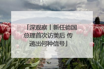 深观察丨新任德国总理首次访美后 传递出何种信号