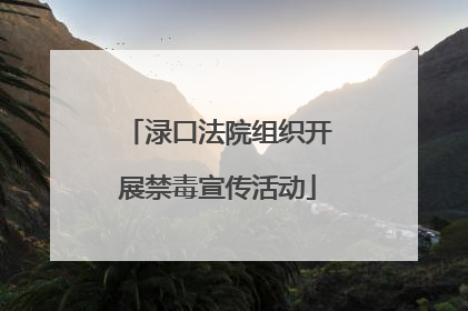 渌口法院组织开展禁毒宣传活动