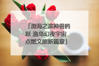 渤海之滨神兽腾跃 渔岛幻夜宇宙点燃文旅新篇章