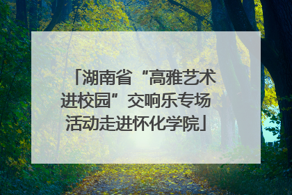 湖南省“高雅艺术进校园”交响乐专场活动走进怀化学院