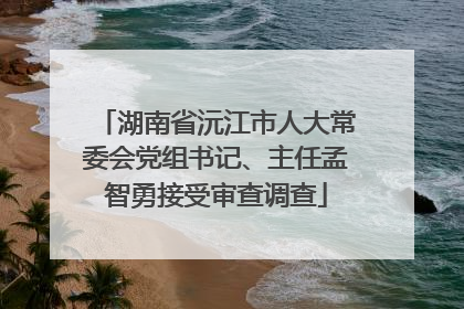 湖南省沅江市人大常委会党组书记、主任孟智勇接受审查调查