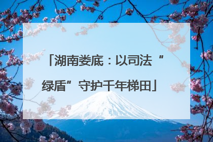 湖南娄底：以司法“绿盾”守护千年梯田