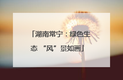 湖南常宁：绿色生态 “风”景如画