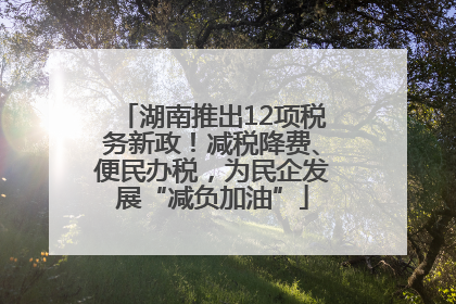 湖南推出12项税务新政！减税降费、便民办税，为民企发展“减负加油”