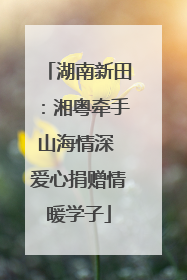 湖南新田：湘粤牵手山海情深 爱心捐赠情暖学子