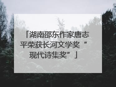 湖南邵东作家唐志平荣获长河文学奖“现代诗集奖”