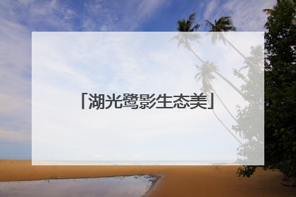 湖光鹭影生态美