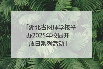 湖北省网球学校举办2025年校园开放日系列活动