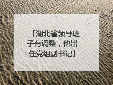 湖北省领导班子有调整，他出任党组副书记