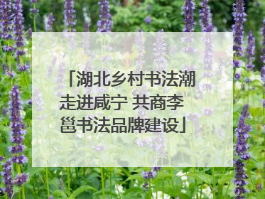 湖北乡村书法潮走进咸宁 共商李邕书法品牌建设